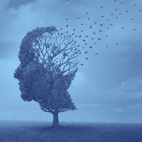 Cardiovascular & Brain Support