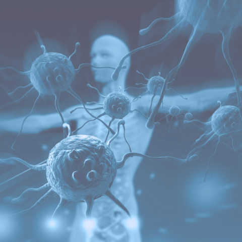 Immune Support